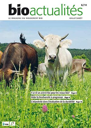 titre bio actualités 6/14